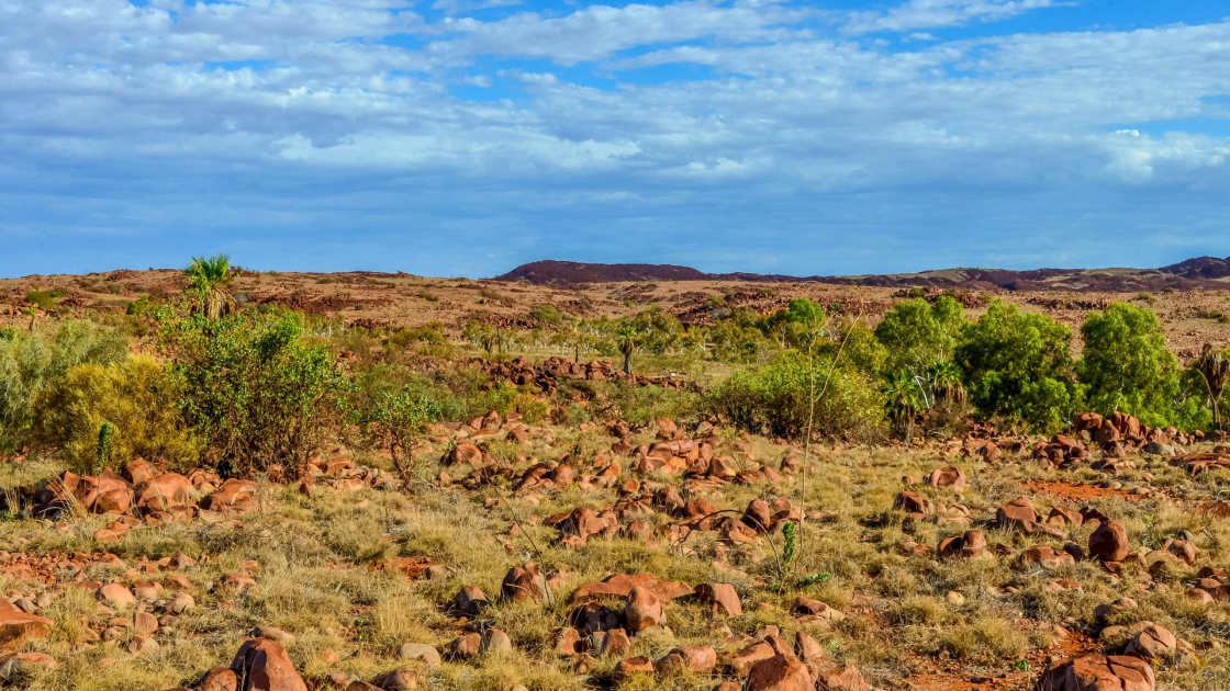 Corazon Mining Pilbara image