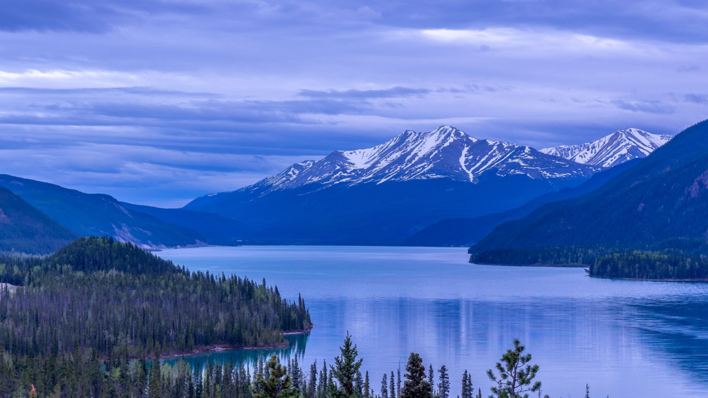 Rapid Critical Metals Prophet River Canada