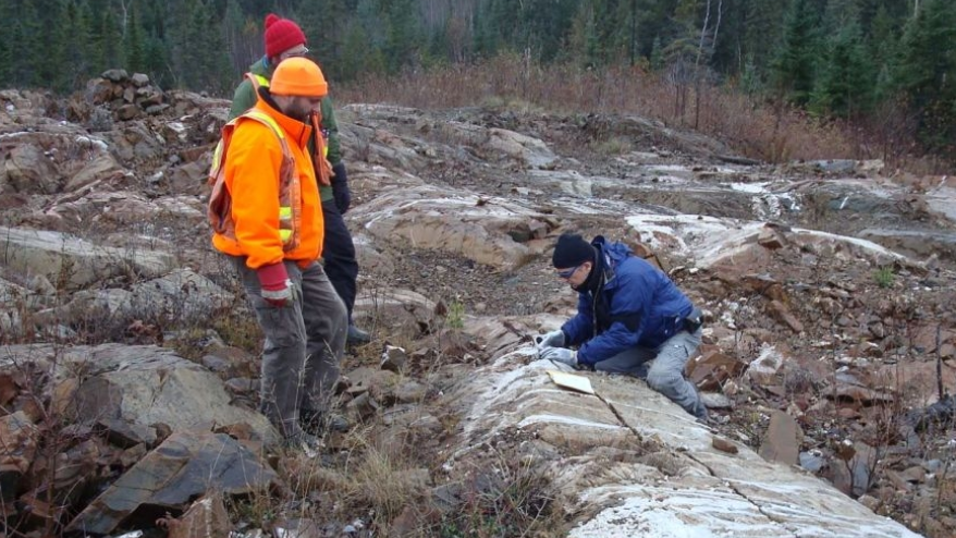 Transition Metals expands Gowganda Gold Project