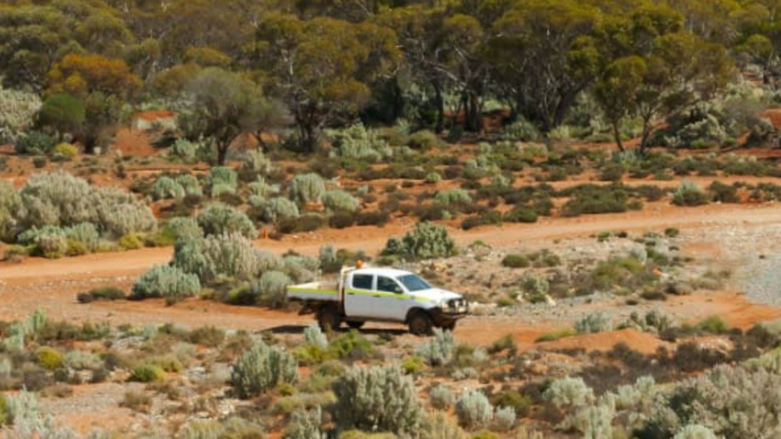 Yandal extends high-grade Arrakis domain
