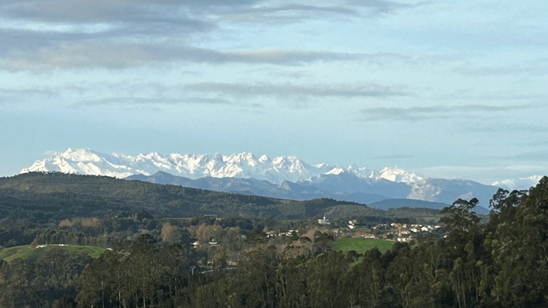 Altoro confirms ‘exceptional’ zinc grades at Emilia