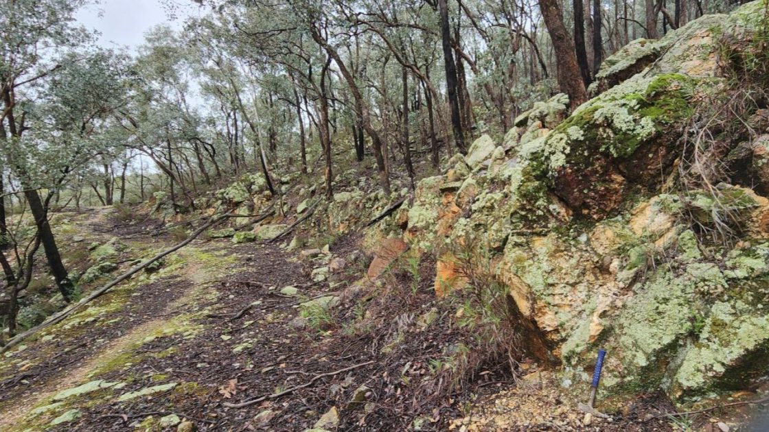 Mt Alwa South showing outcrop of pegmatite dyke and bulldozed bench previously used for drill access