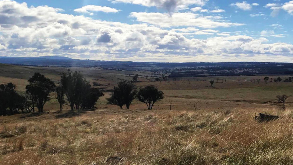 Image of a landscape