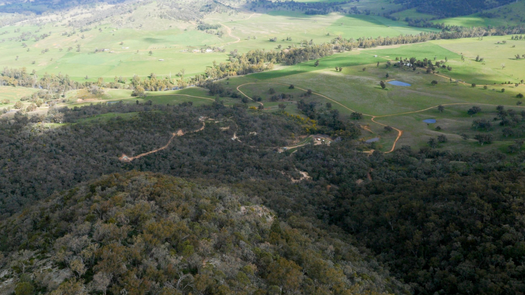 Kuniko Commonwealth Project in New South Wales