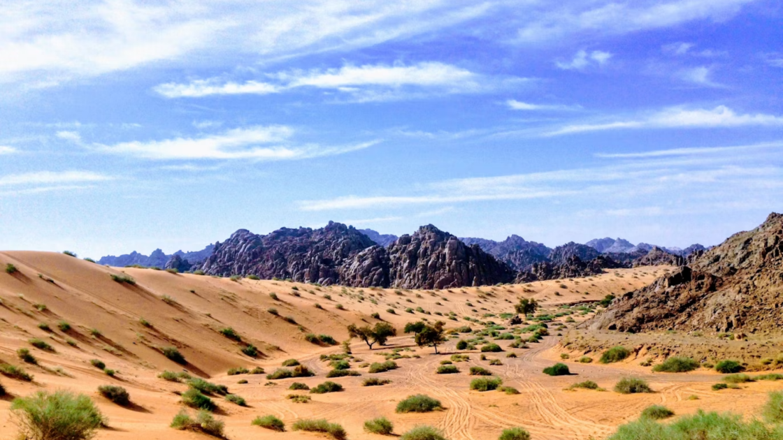 Peako begins magnetic surveys ahead of Saudi drilling