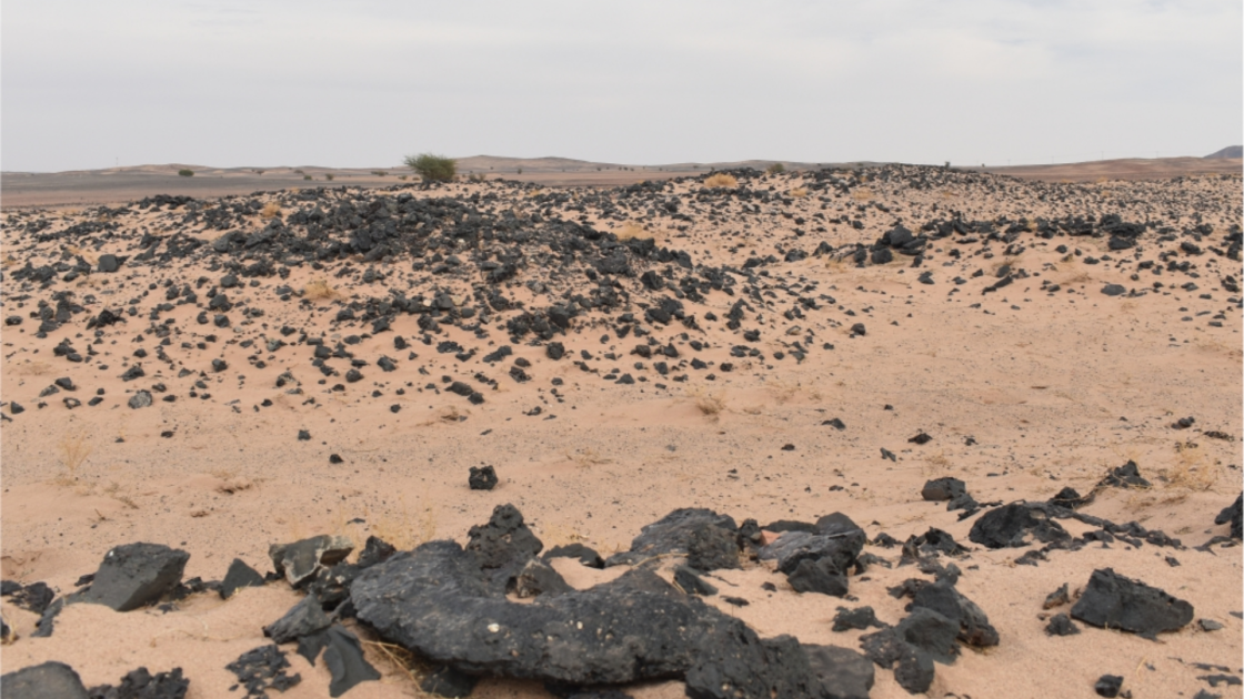 Phase one drilling confirms large copper system at As Safra