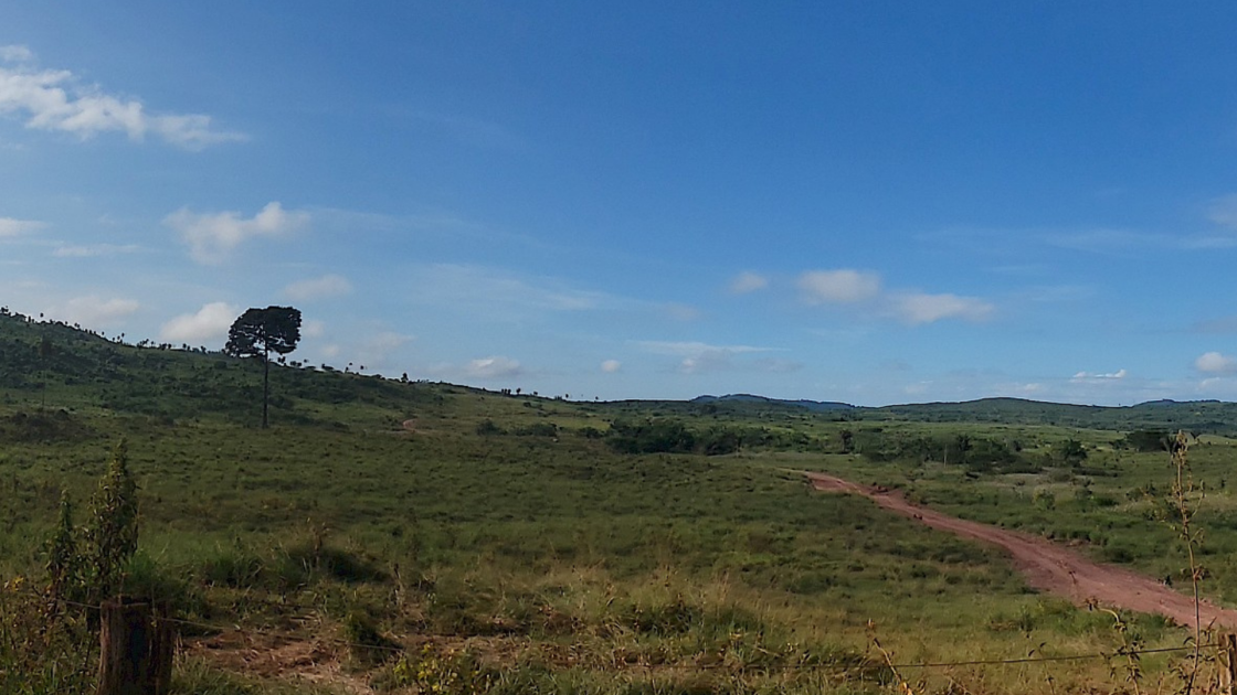 Bravo gets final nod for Barcarena processing facility