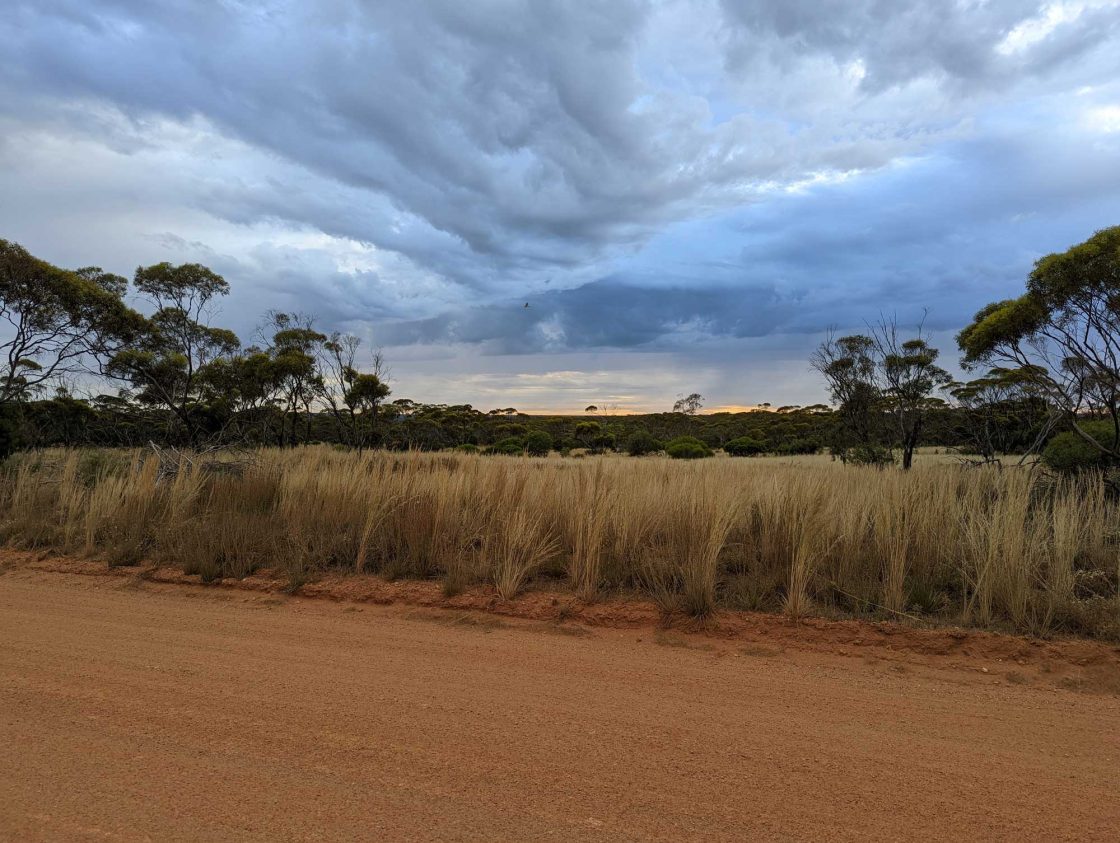 Cobra eyes ‘credible’ pathway for Wudinna to produce upgraded MREC