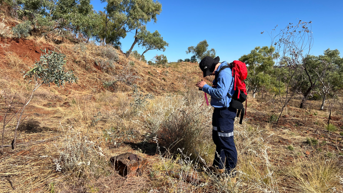 Future Metals defines maiden Eileen Bore copper target
