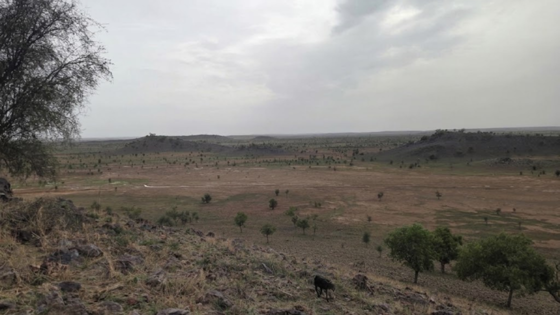 Due diligence visit by Zeus Resources at the Diaguili Copper-Gold Project in Mauritania