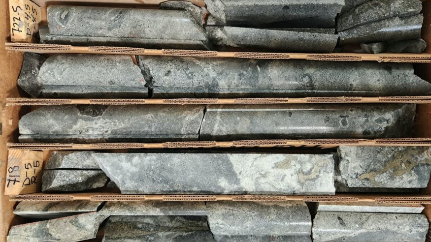 Provenance Gold's photo of altered, pyrite-bearing diorite at 218 meters in EC-11