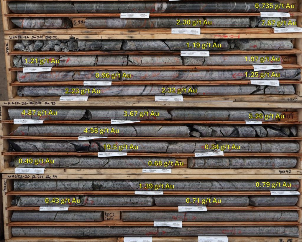Core photos hole WHTGS26D0219 with assays marked