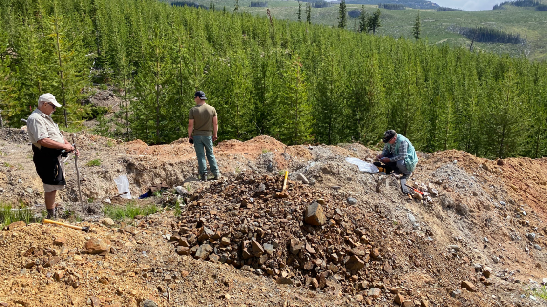 Bronco finds ‘different beast’ east of Kodiak