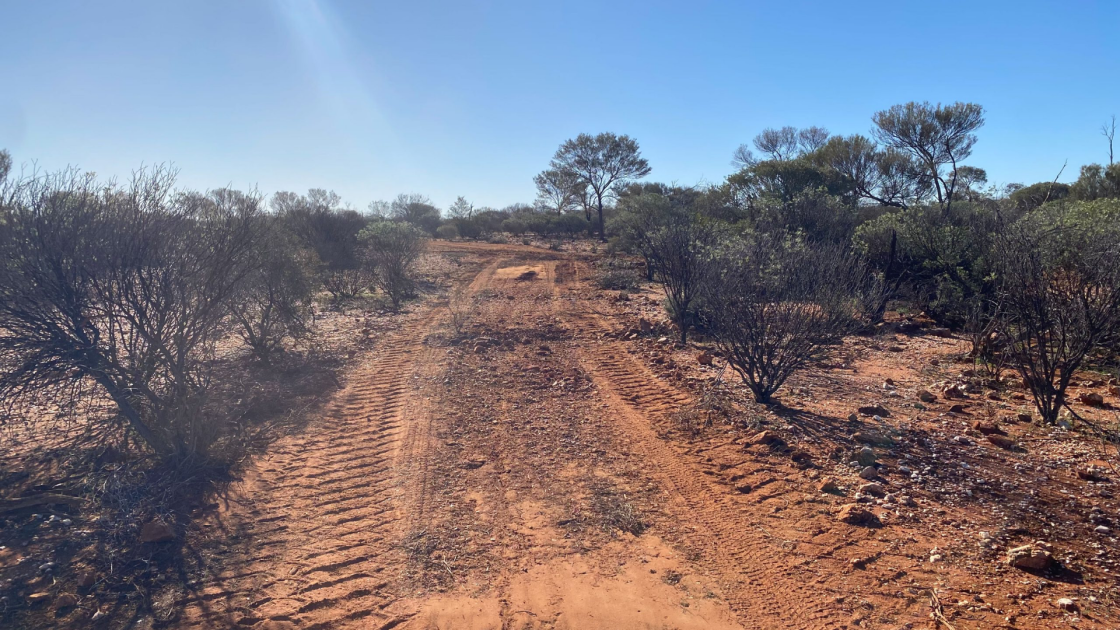 TechGen Metals Dalgaranga Gold Project in Western Australia